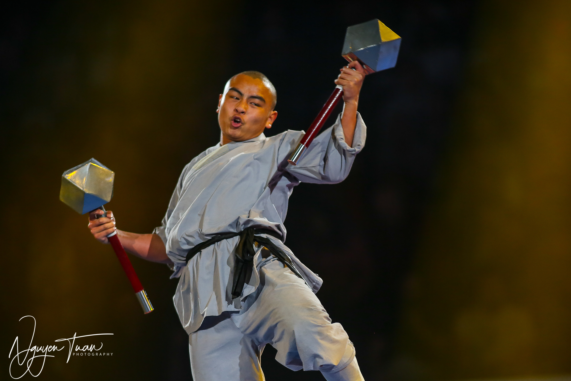 20190324 Festival des Arts Martiaux 5568